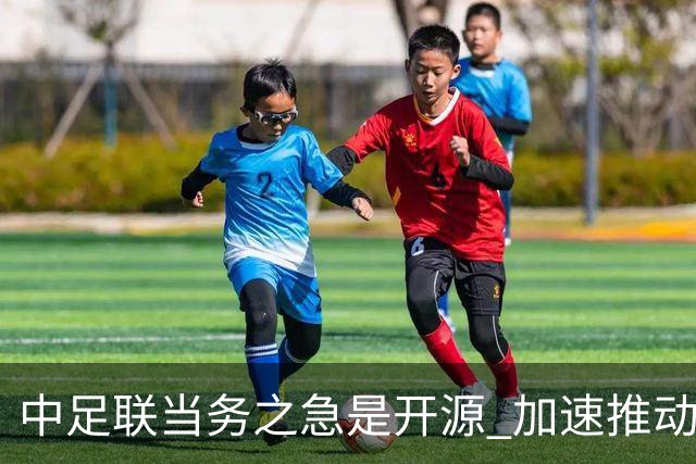 中足联当务之急是开源 加速推动中国足球职业化