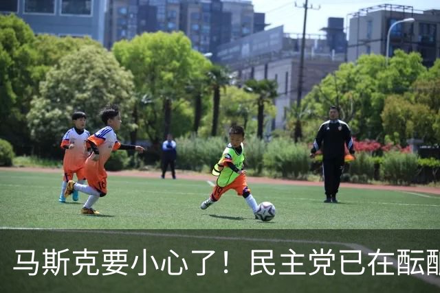 马斯克要小心了！民主党已在酝酿一系列调查